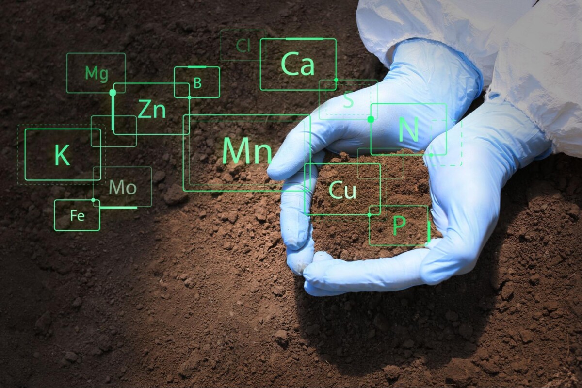 Analytical Laboratories picture of soil